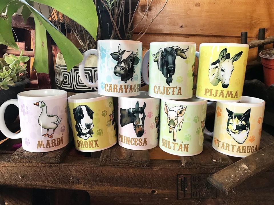 50653478_10156753696306480_3257789855735742464_n