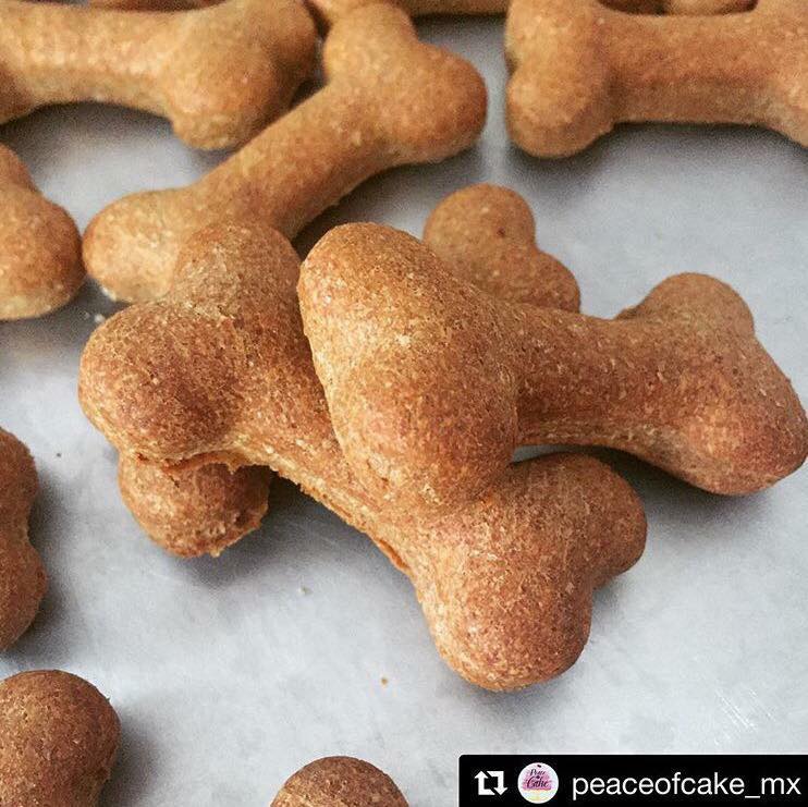 snacks peace of cake